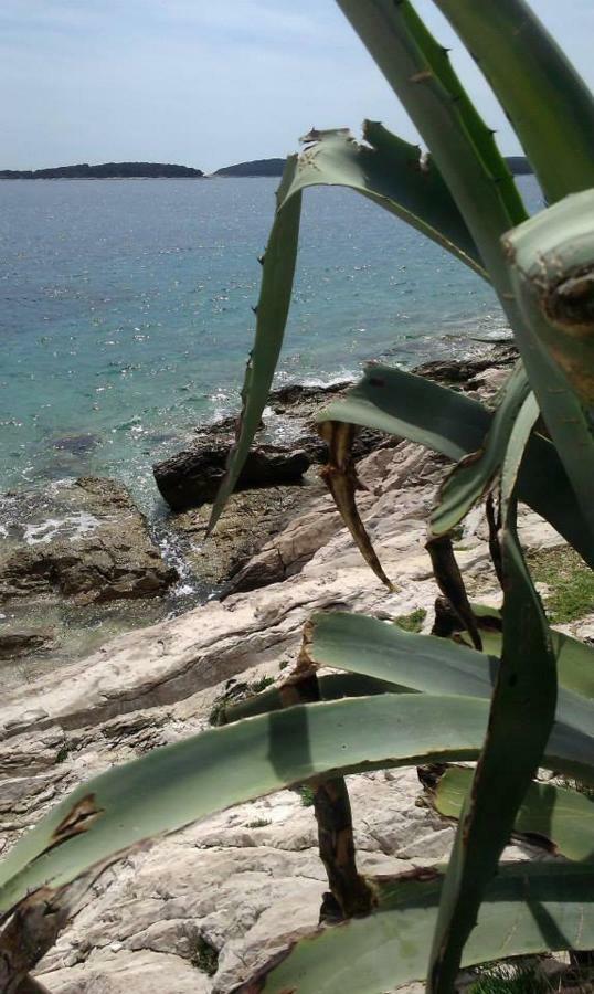Liza'S Downtown Apartment Đảo Hvar Ngoại thất bức ảnh